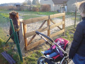 Do you parler Bébé ?