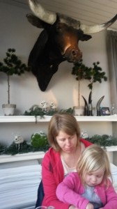 Chouette déco non ?