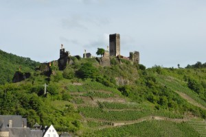 Des vignes et des châteaux partout !