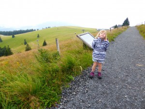 Sur le chemin du sommet du Belchen (1 414 m)