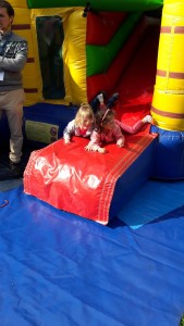 On adore les chateaux gonflables